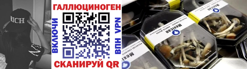 Купить  Фрязино  Галлюциногенные грибы MAGIC MUSHROOMS 
